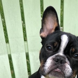 Meet your Posher, Ella